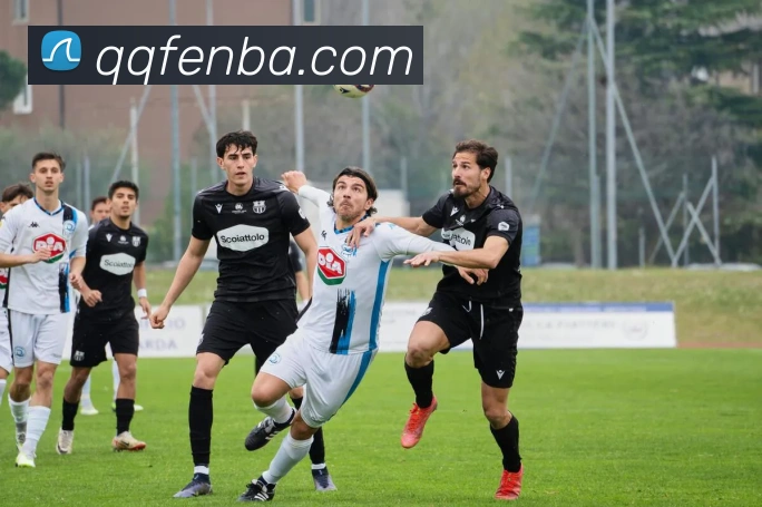 nba投注网站APP 封面图